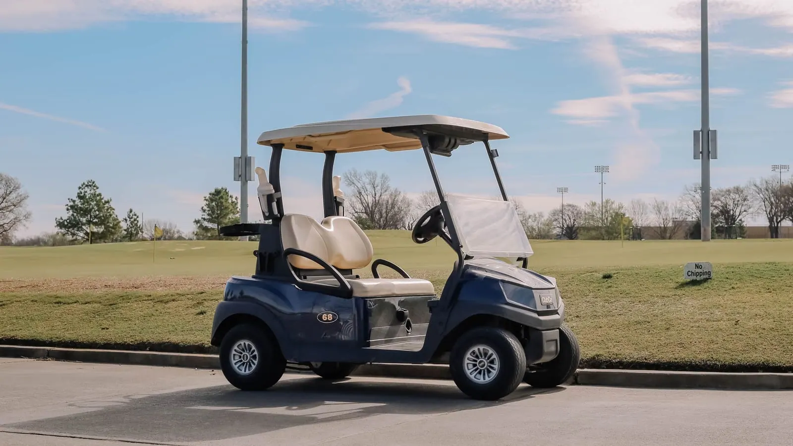 A navy two-seater electric golf cart parked on a paved cart path beside a fairway